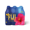 FIJI Water 500mL Holiday Case