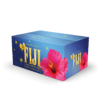 FIJI Water 500mL Holiday Case